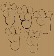 Feet Practices // 1920x1980 // 498.3KB